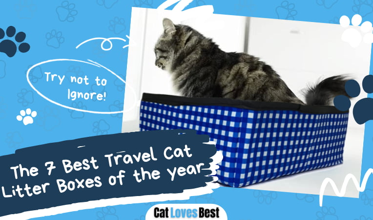 Best Travel Cat Litter Boxes