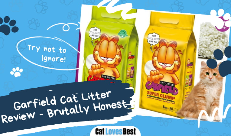 Garfield Cat Litter