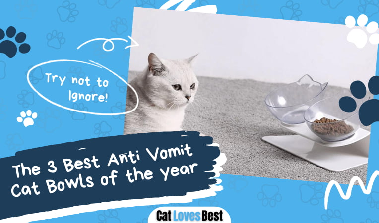 Best Anti Vomit Cat Bowls