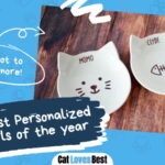 Best Personalized Cat Bowls