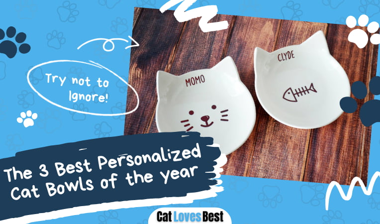 Best Personalized Cat Bowls