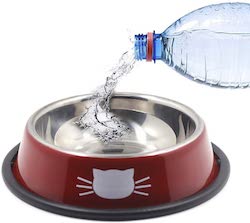 best cat bowls for water