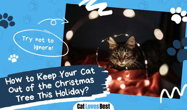 How to Keep Your Cat Out of the Christmas Tree