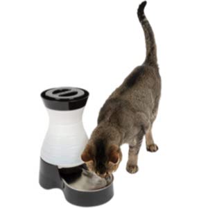 PetSafe Automatic Water Dispenser