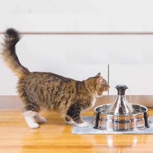 PetSafe Stainless Steel Cat Water Fountain