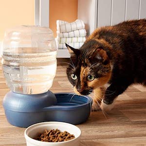 Petmate Replendish Gravity Waterer