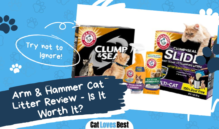 Arm & Hammer Cat Litter
