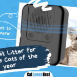 Best Cat Litter For Multiple Cats