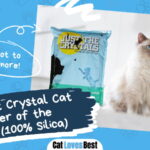 Best Crystal Cat Litter