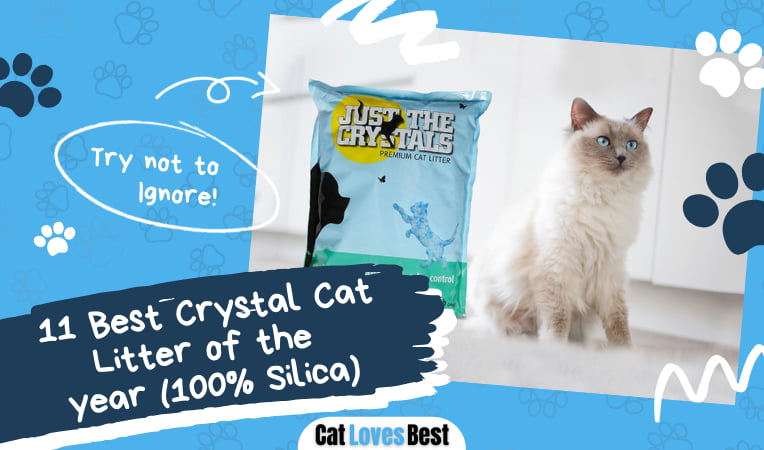 Best Crystal Cat Litter