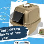 Best Sifting Litter Boxes