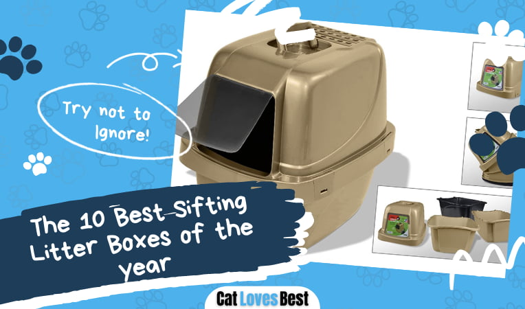 Best Sifting Litter Boxes