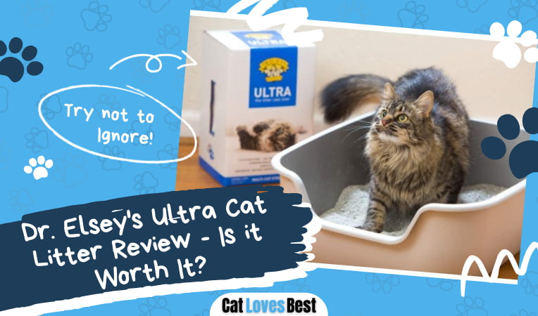 dr-elsey-s-ultra-cat-litter-review-is-it-worth-it