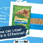 Feline Pine Cat Litter