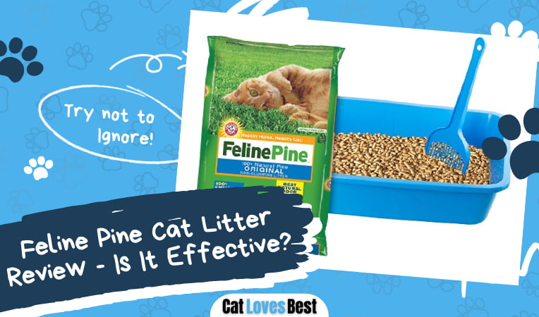 Feline Pine Cat Litter