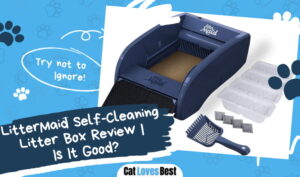 Featured Image LitterMaid Self Cleaning Litter Box