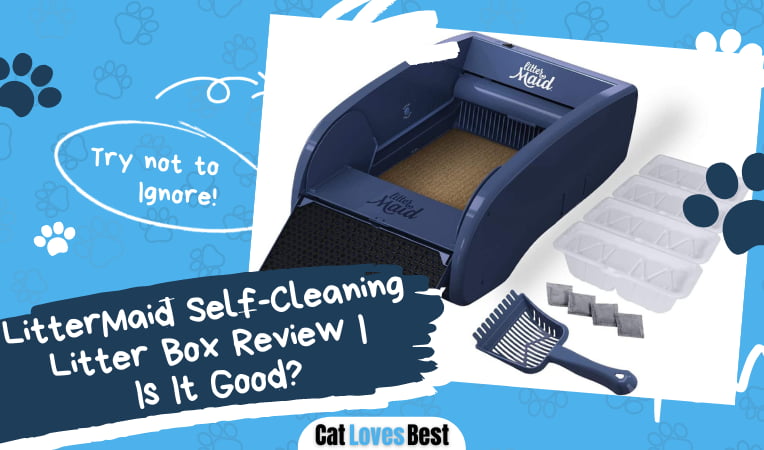 LitterMaid Self-Cleaning Litter Box