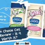 Premium Choice Cat Litter