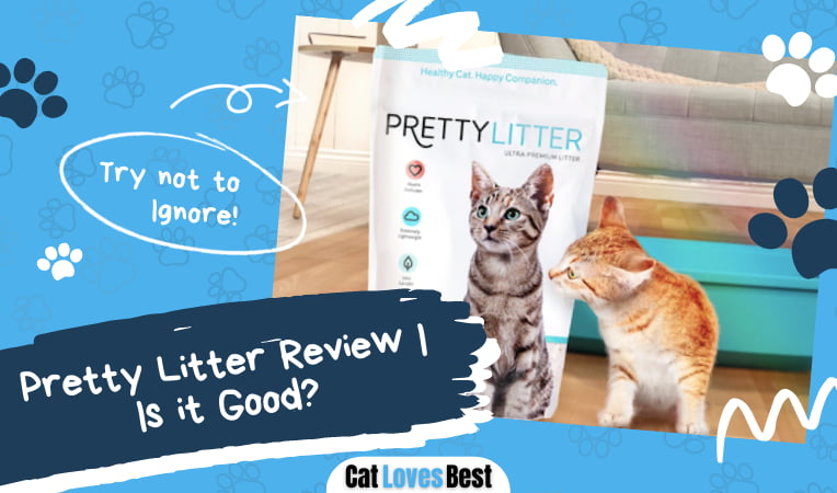 Pretty Litter for Cats