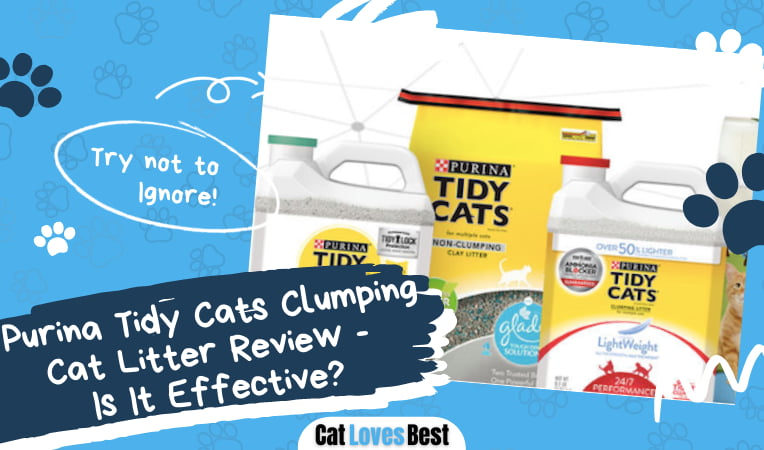 Purina Tidy Cats Clumping Cat Litter