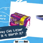 Scoop Away Cat Litter