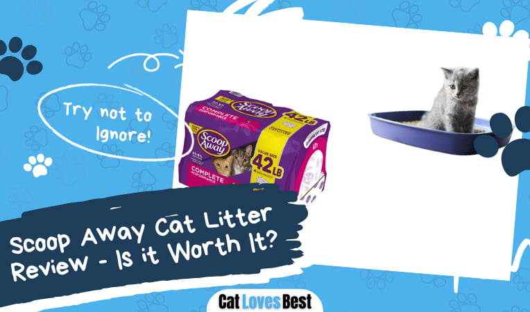 Scoop Away Cat Litter