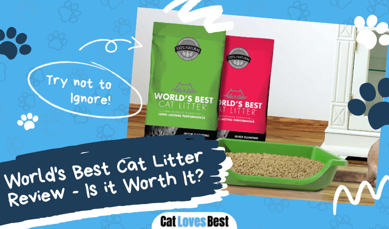 World's Best Cat Litter