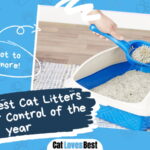 Best Cat Litters for Odor Control