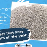 Best Dust Free Cat Litters