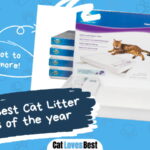 Best Cat Litter Brands