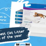 Best Cat Litter Brands