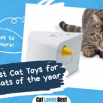 Best Cat Toys for Active Cats