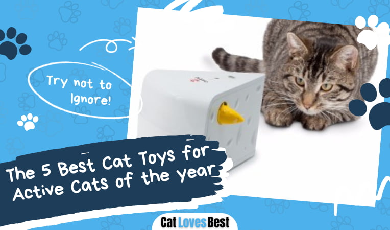 Best Cat Toys for Active Cats