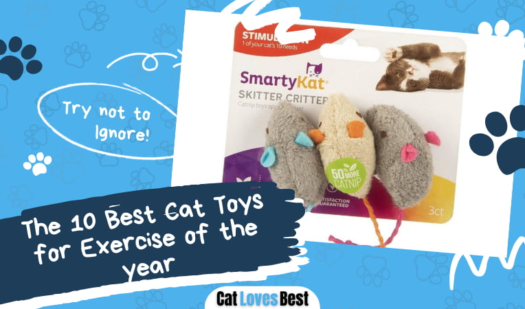 Best Cat Toys for Exercise