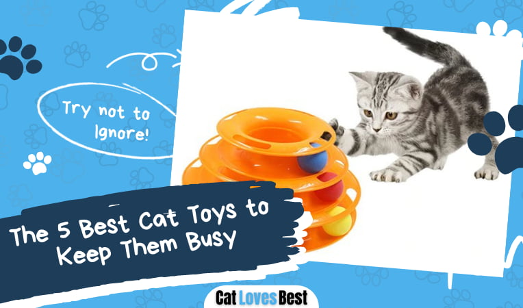 Best Cat Toys to Keep Them Busy