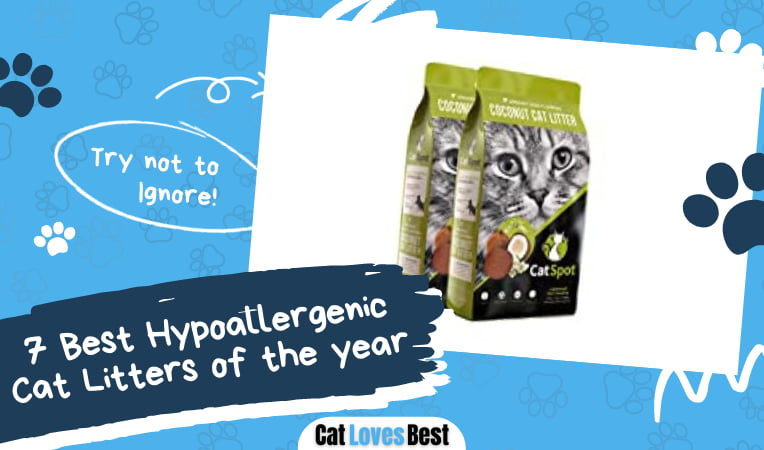 Best Hypoallergenic Cat Litters