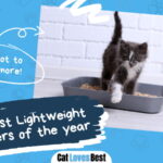 Best Lightweight Cat Litter