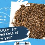 Best Litter for Declawed Cats