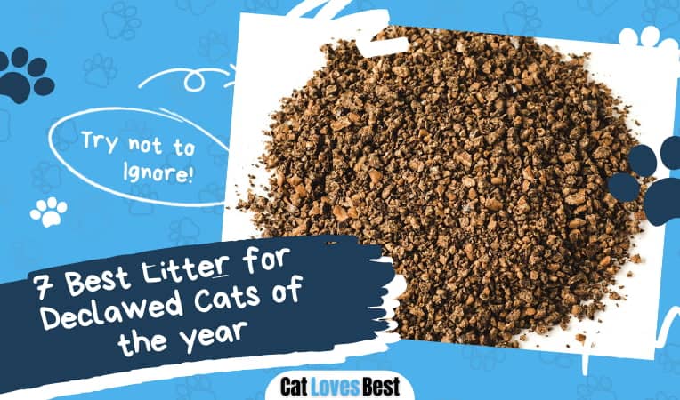 Best Litter for Declawed Cats