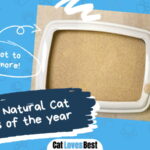 Best Natural Cat Litter