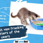 Best Non Tracking Cat Litters