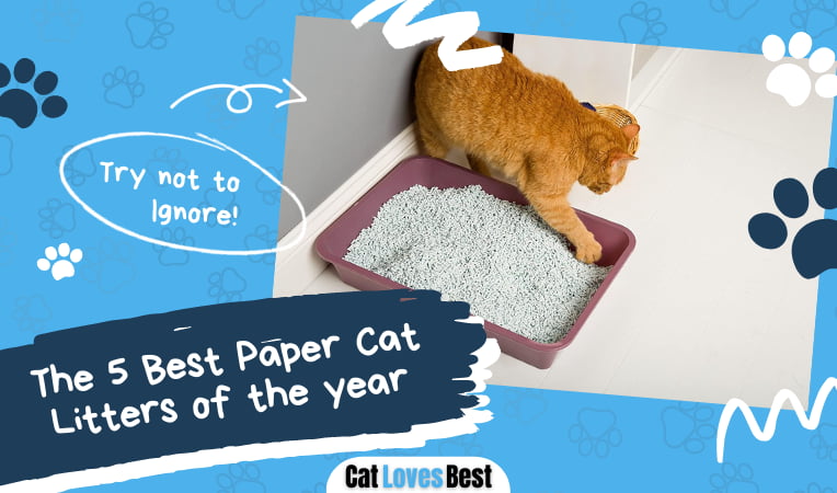 Best Paper Cat Litters