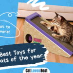 Best Toys for Bengal Cats
