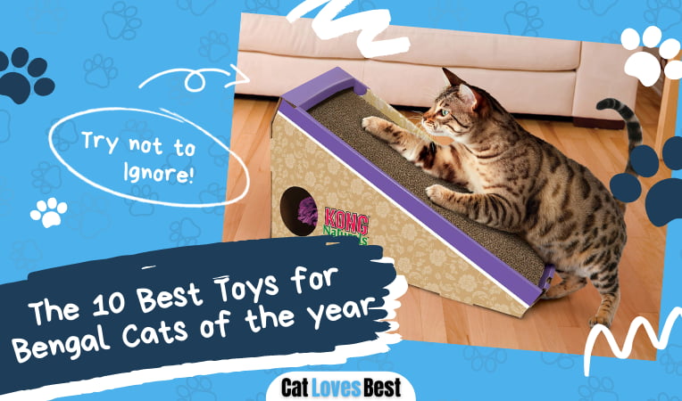 Best Toys for Bengal Cats