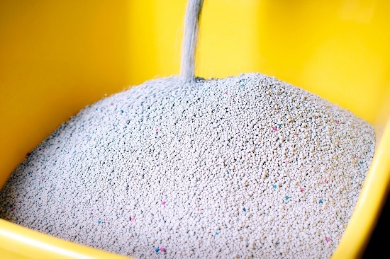 absorbent clay litter