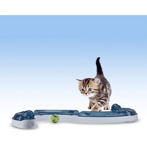 Catit Design Senses Play Circuit