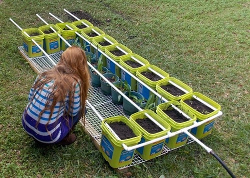 harvest buckets