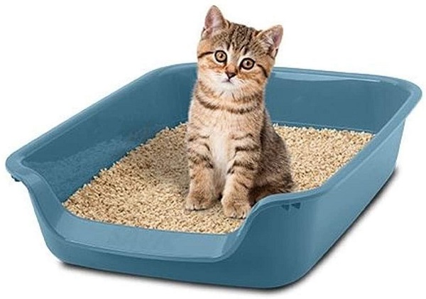 how much is cat litter monthly