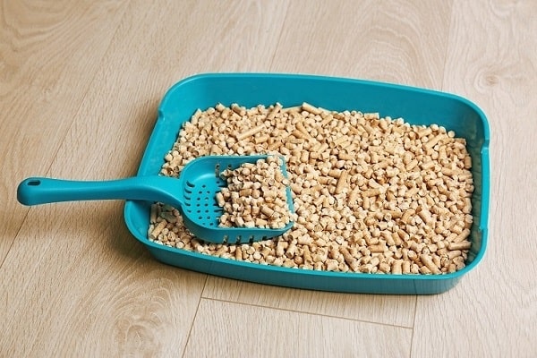how to dispose of cat litter the green way