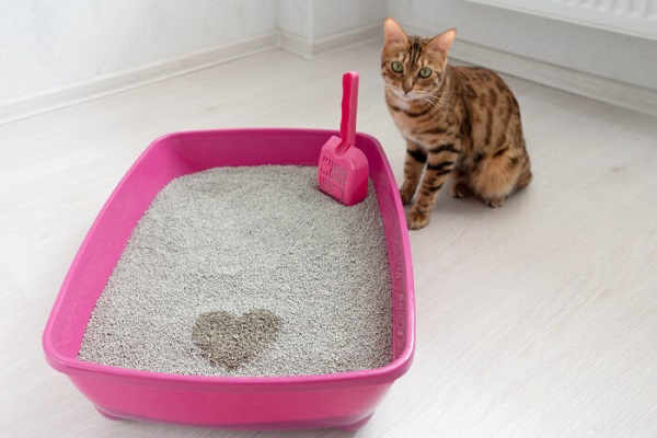 how to make a cat litter box out of a rubbermaid container